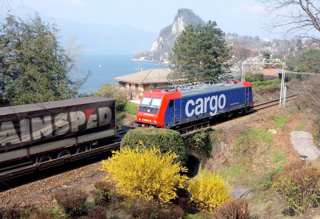 locomotiva traina un convoglio merci con sullo sfondo il lago maggiore