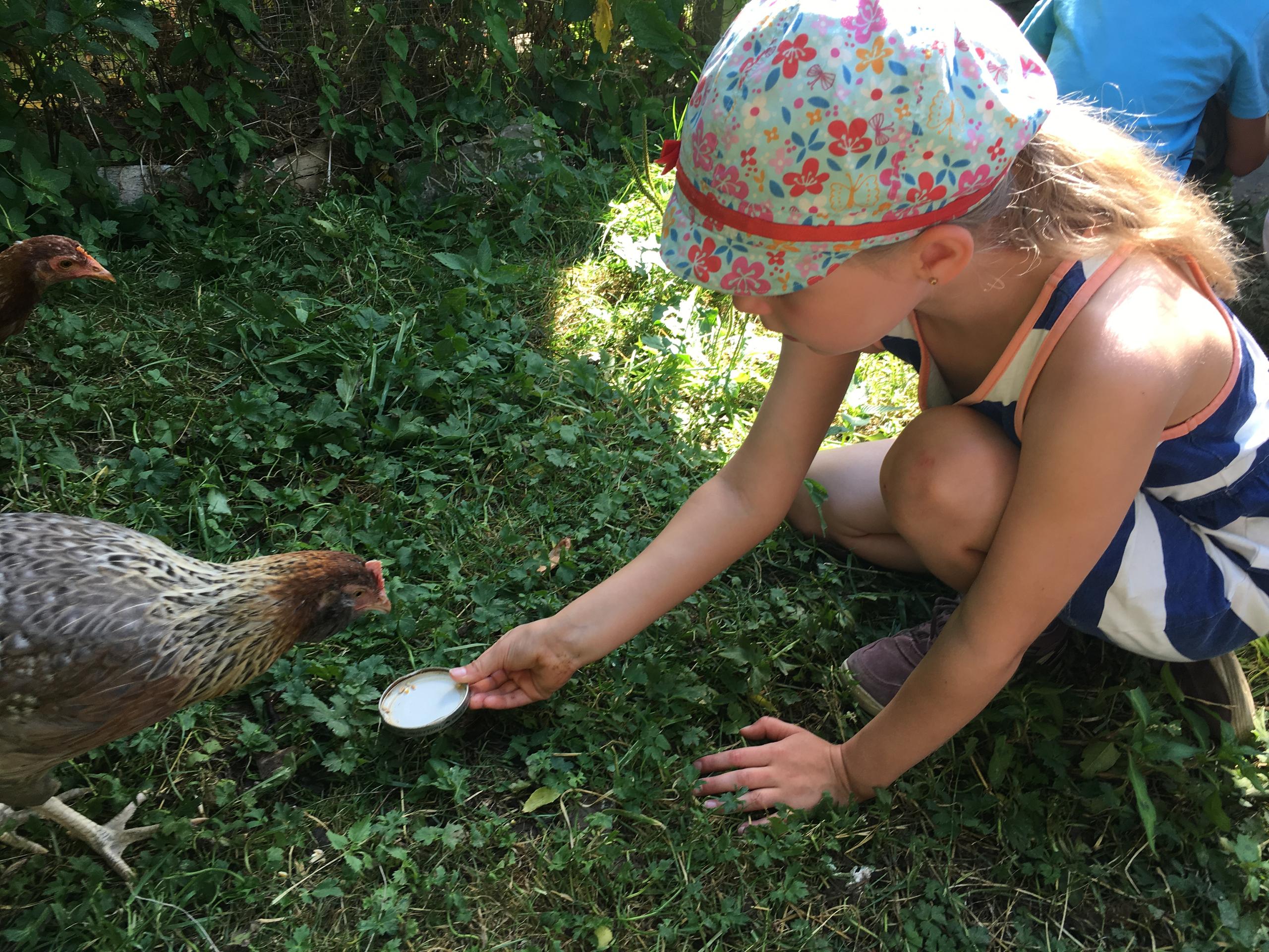 孩子們在這裡可以近距離與動物接觸，融入大自然。