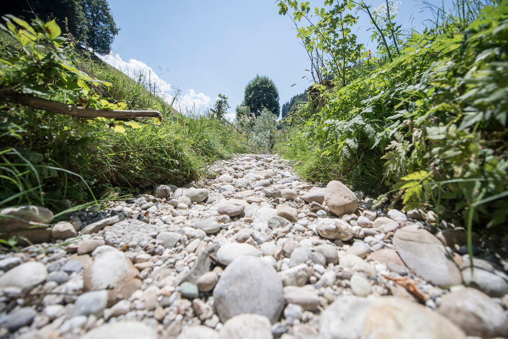 A river bed