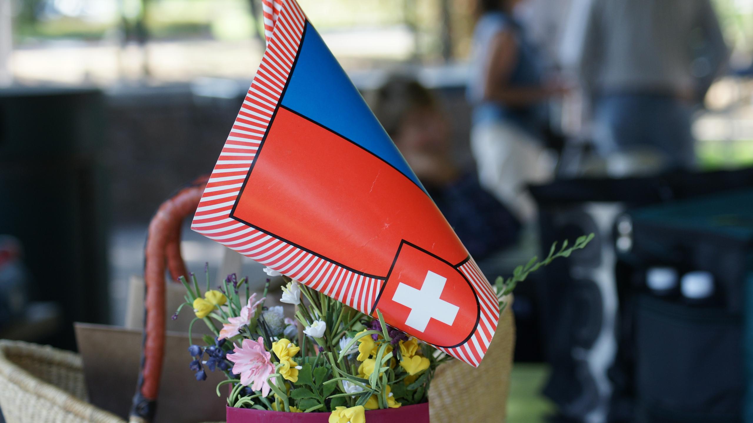 Small Ticino flag planted in a flower pot