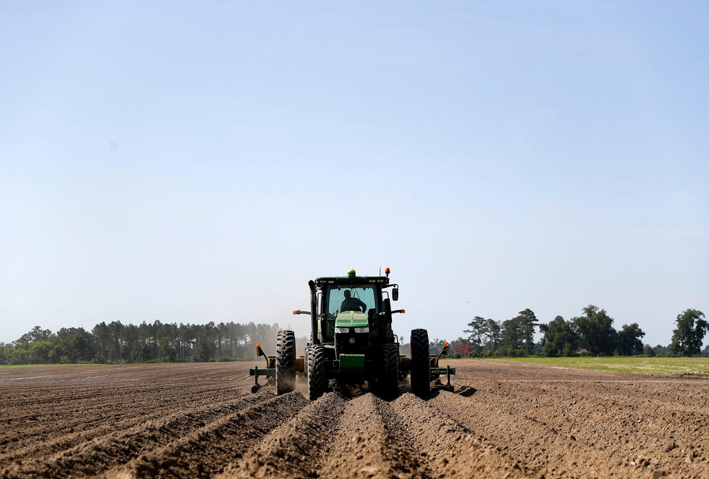 Tractor ploughing a field