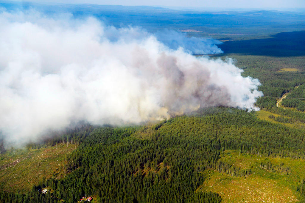 Un bosco brucia in Svezia dalle parti di Ljusdal.