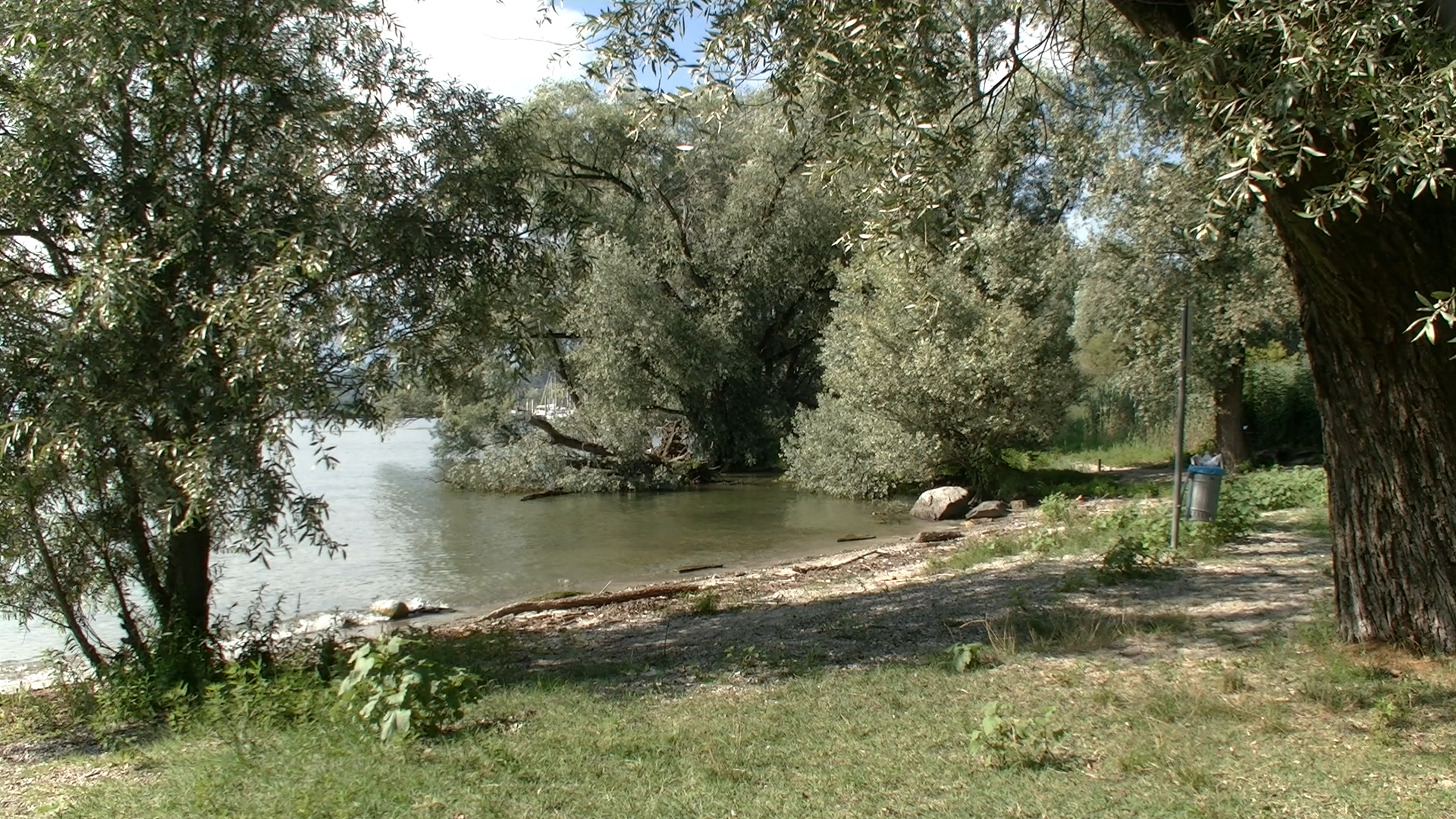 Vista di una riva di un lago con spiaggetta, vegetazione rigogliosa e un cestino della spazzatura