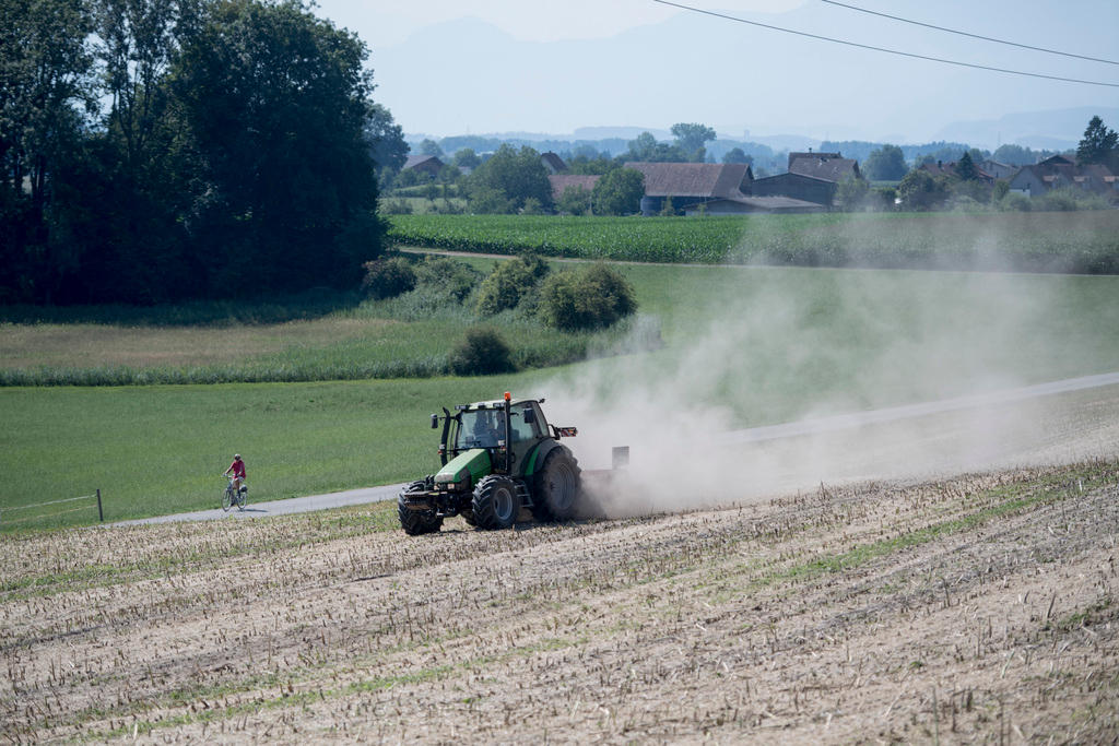 A tractor in a field