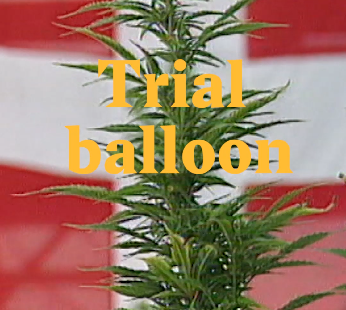 A cover image for a Nouvo video about making cannabis legal in Switzerland.
