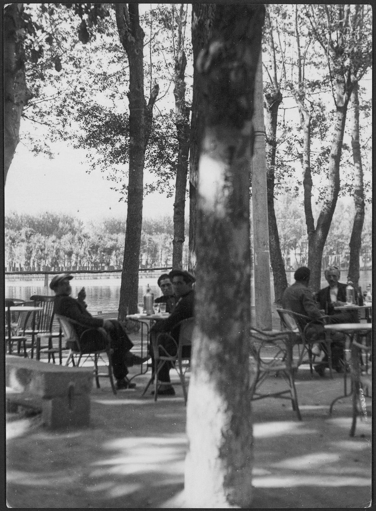 people sitting in a park area with trees