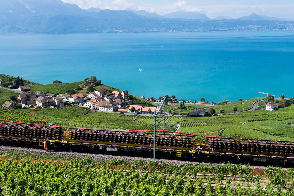 train tracks in wine country