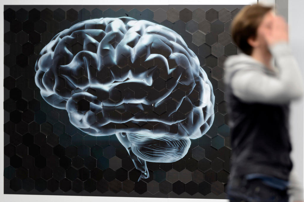 brain image