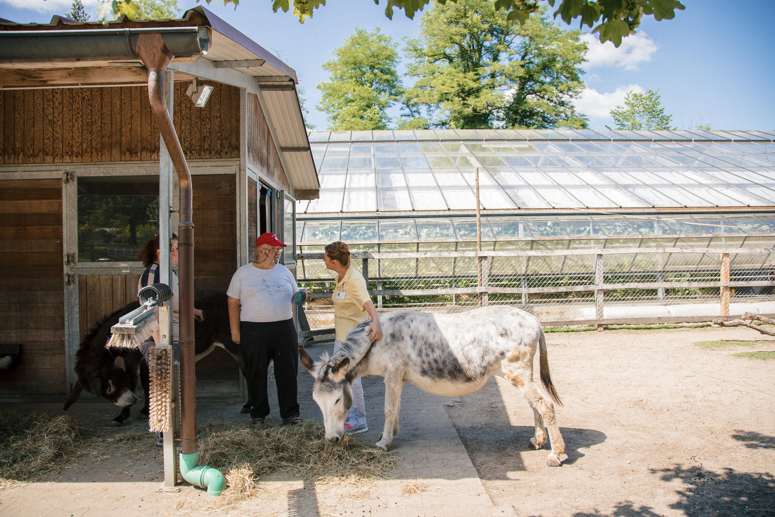 barnyard with donkey and three people