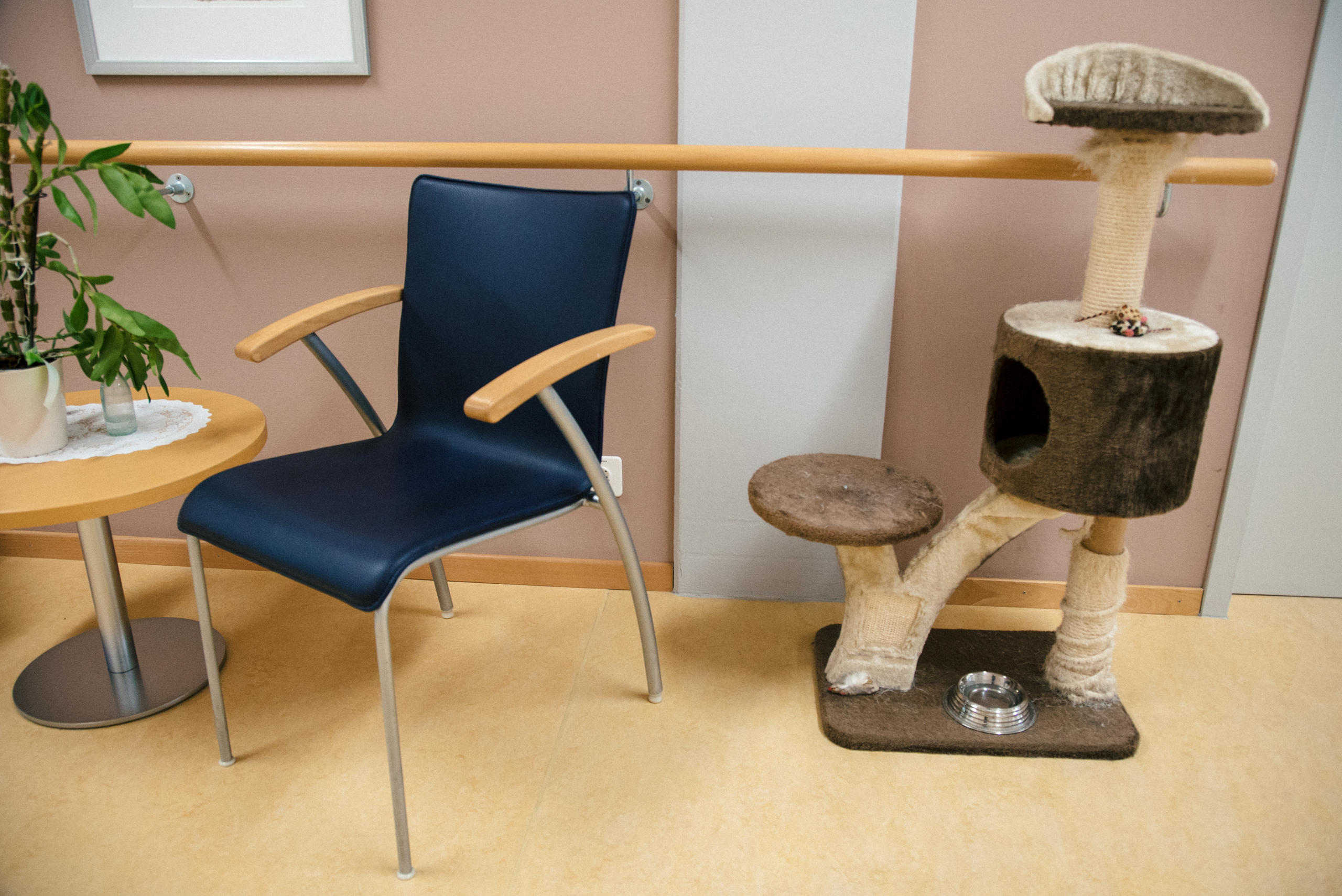 Empty cat kennel in hospital ward