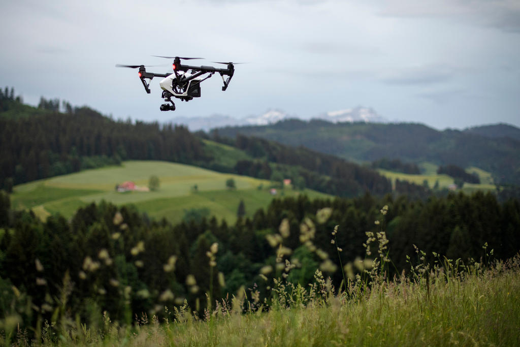 Drone flying over pastures.
