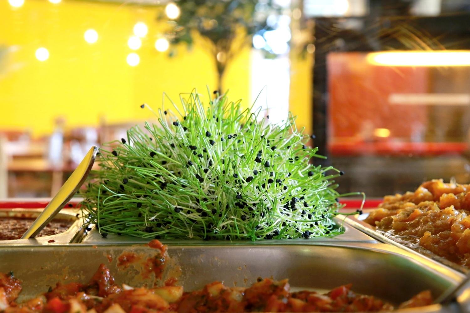 أعشاب توضع على أطباق الأكل