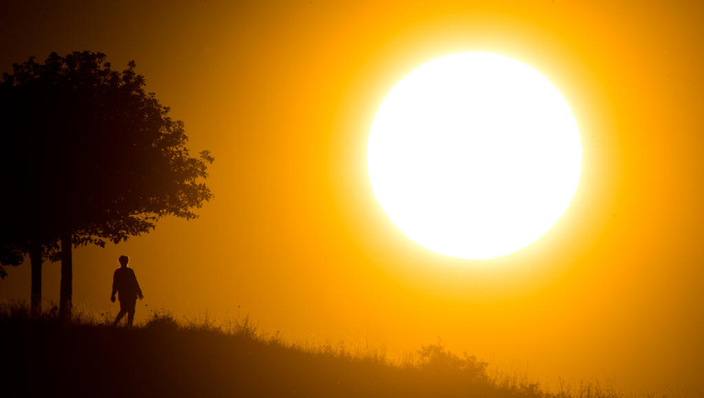 tramonto con profilo di una persona e di un albero