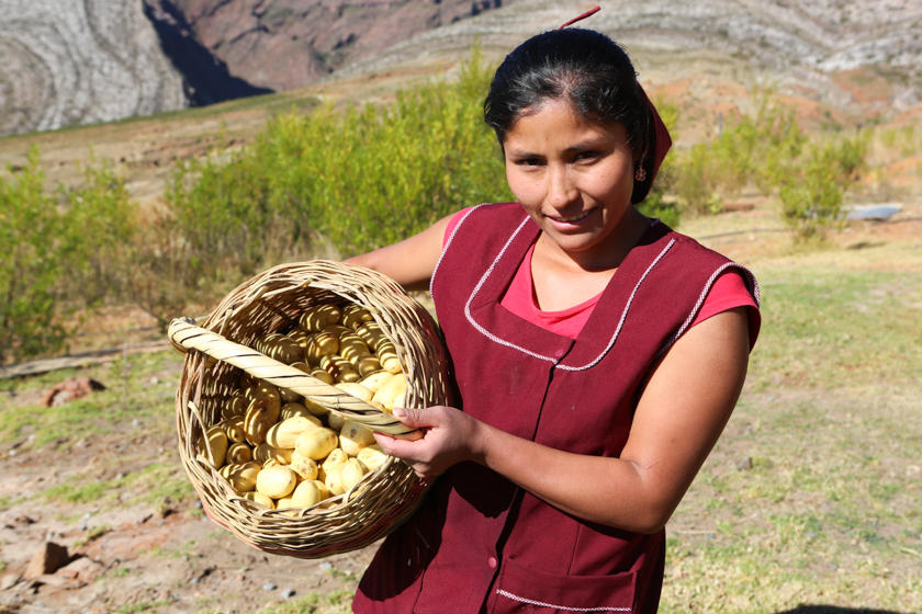 Woman with basket of bulbs