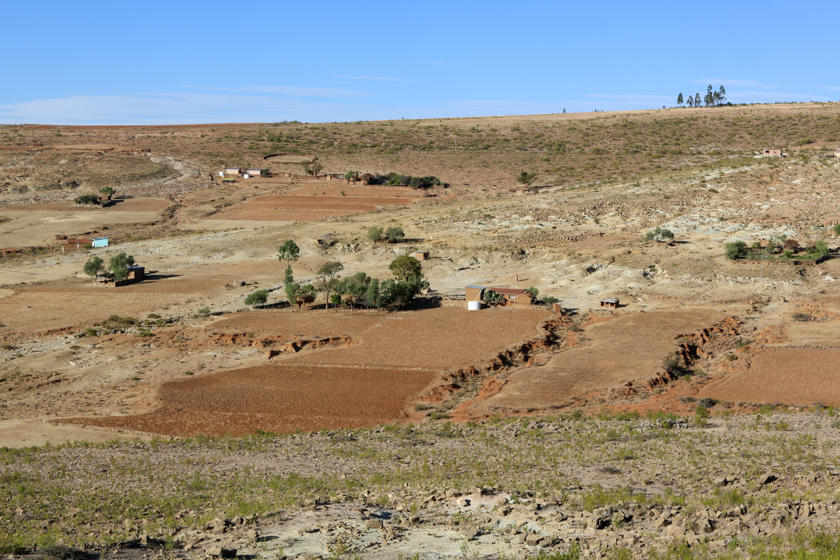 Eine trockene Landschaft mit wenig Bäumen