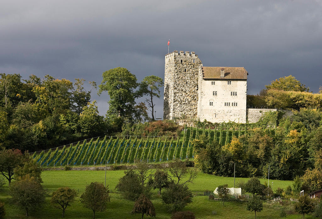 Castello di Habsburg dall alto