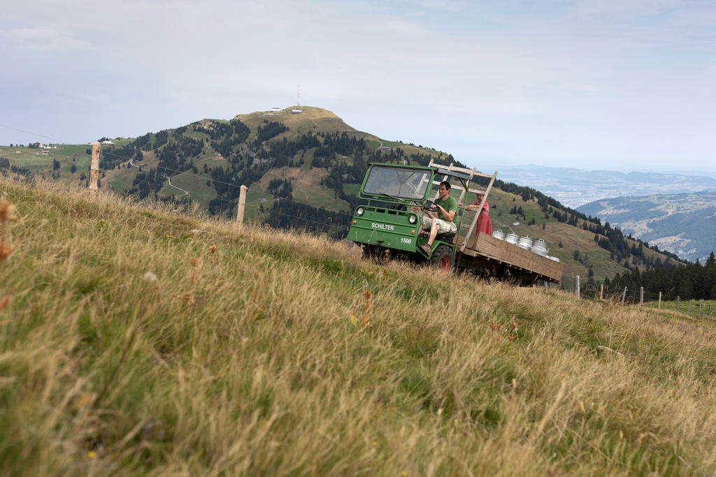 Farmer delivering water to cows