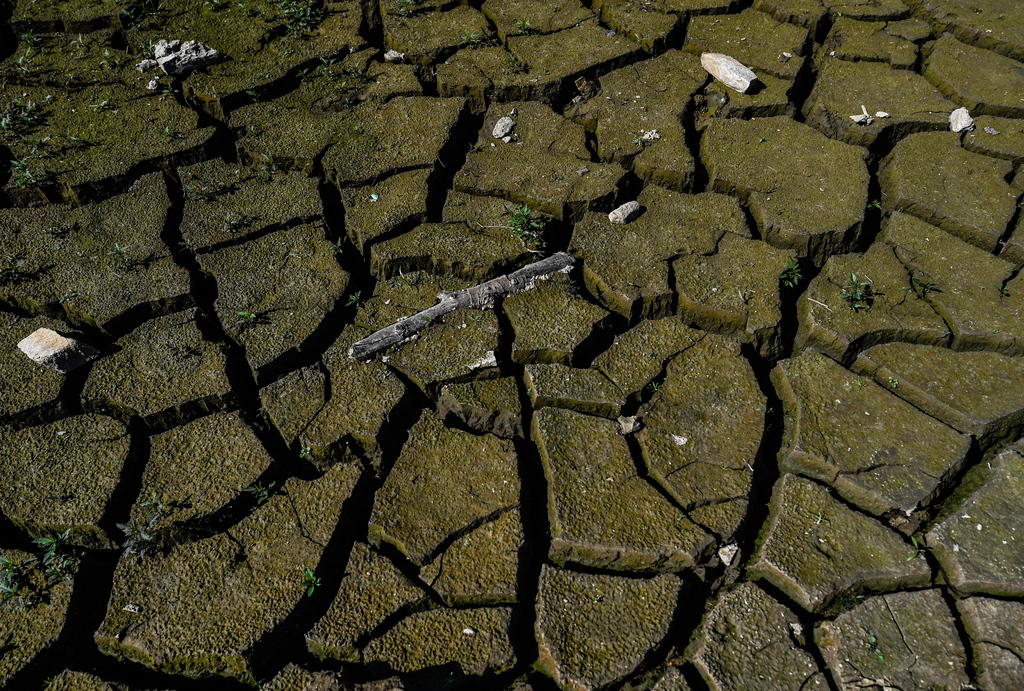cracked earth during a drought