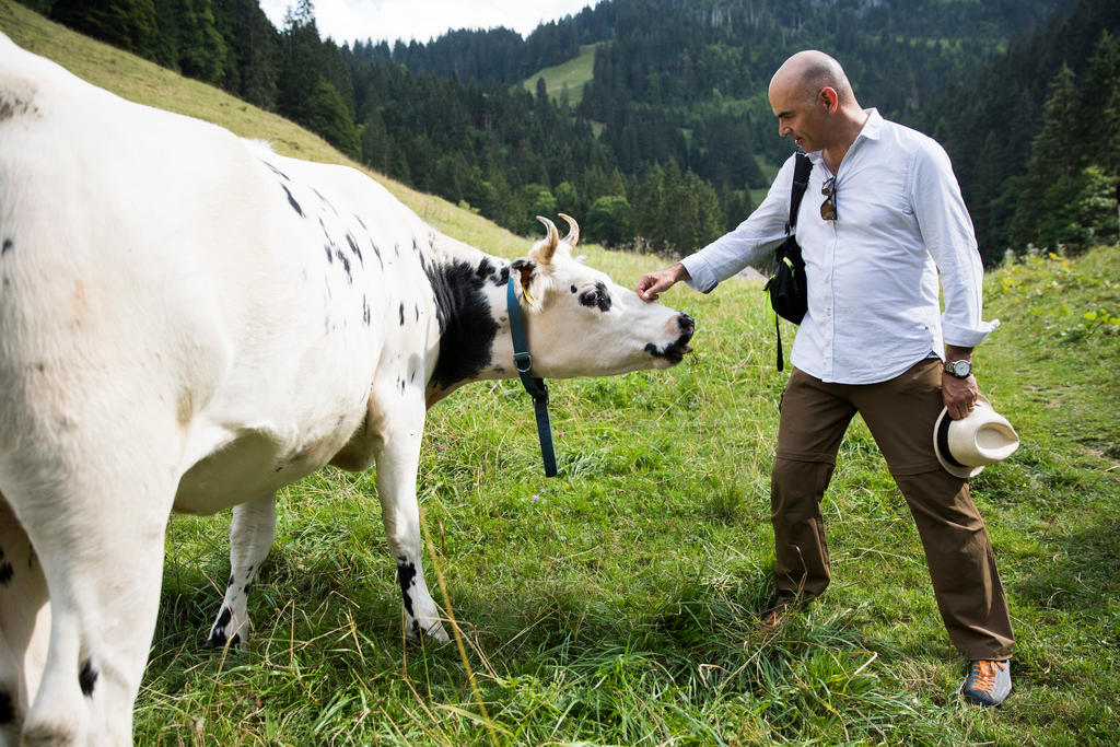 Swiss President Alain Berset and a cow