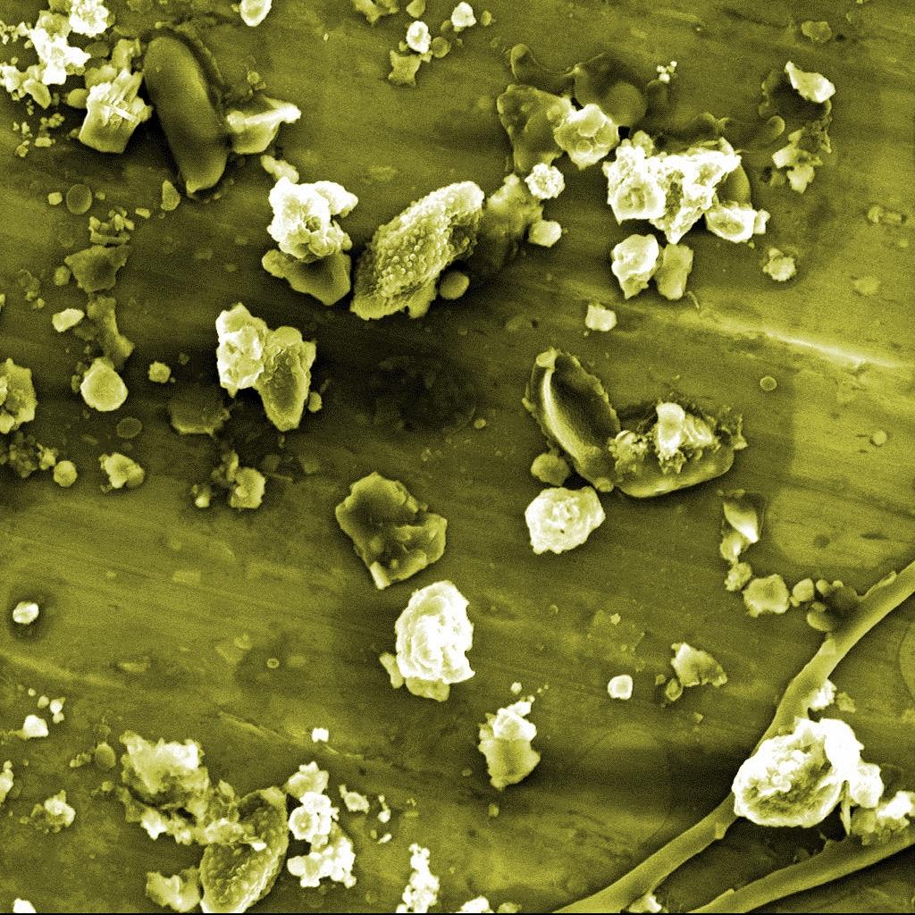 Coloured scanning electron microscope images of particulate matter in air samples from Switzerland