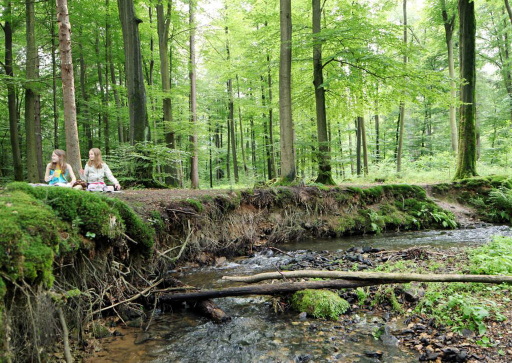 Two young women on the banks of a river in a forest