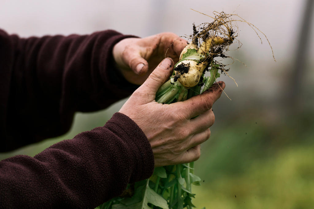 produits de la terre