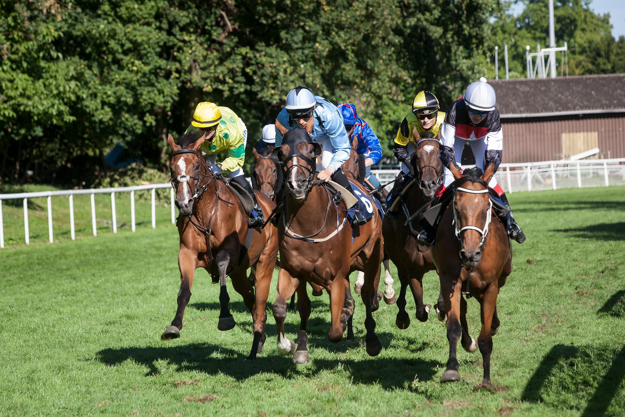 Corrida de cavalos