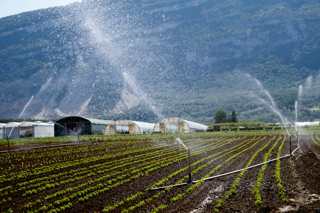 field being watered