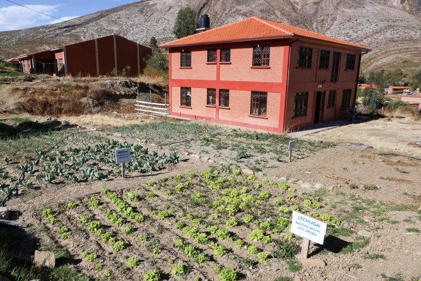 Campo cultivado y al fondo una casa roja