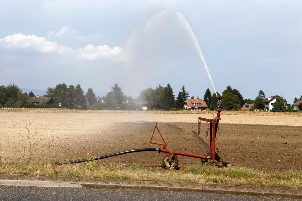 watering a dry field