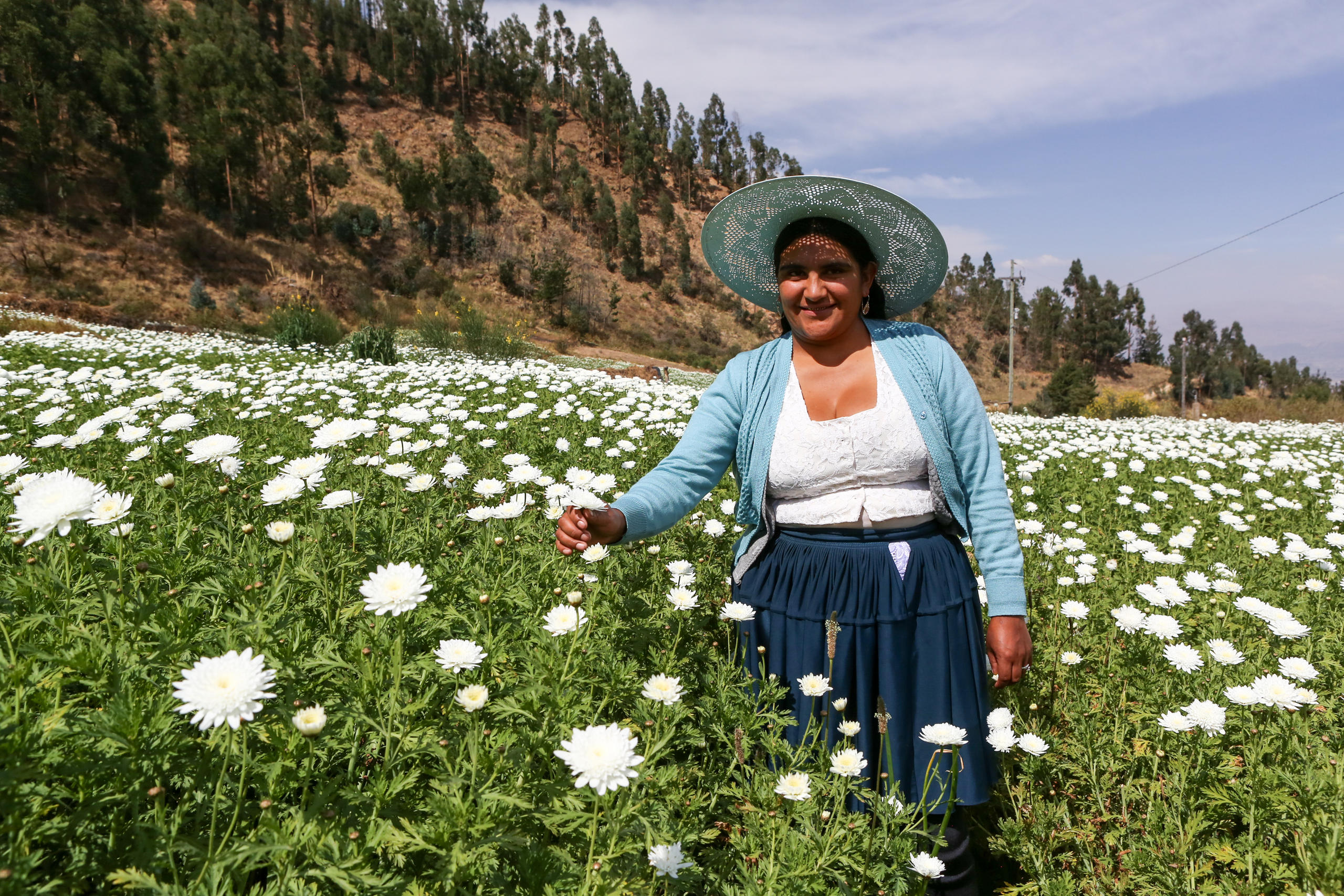 Blumenzüchterin mit Hut steht in einem grünen Feld voller weisser Blumen