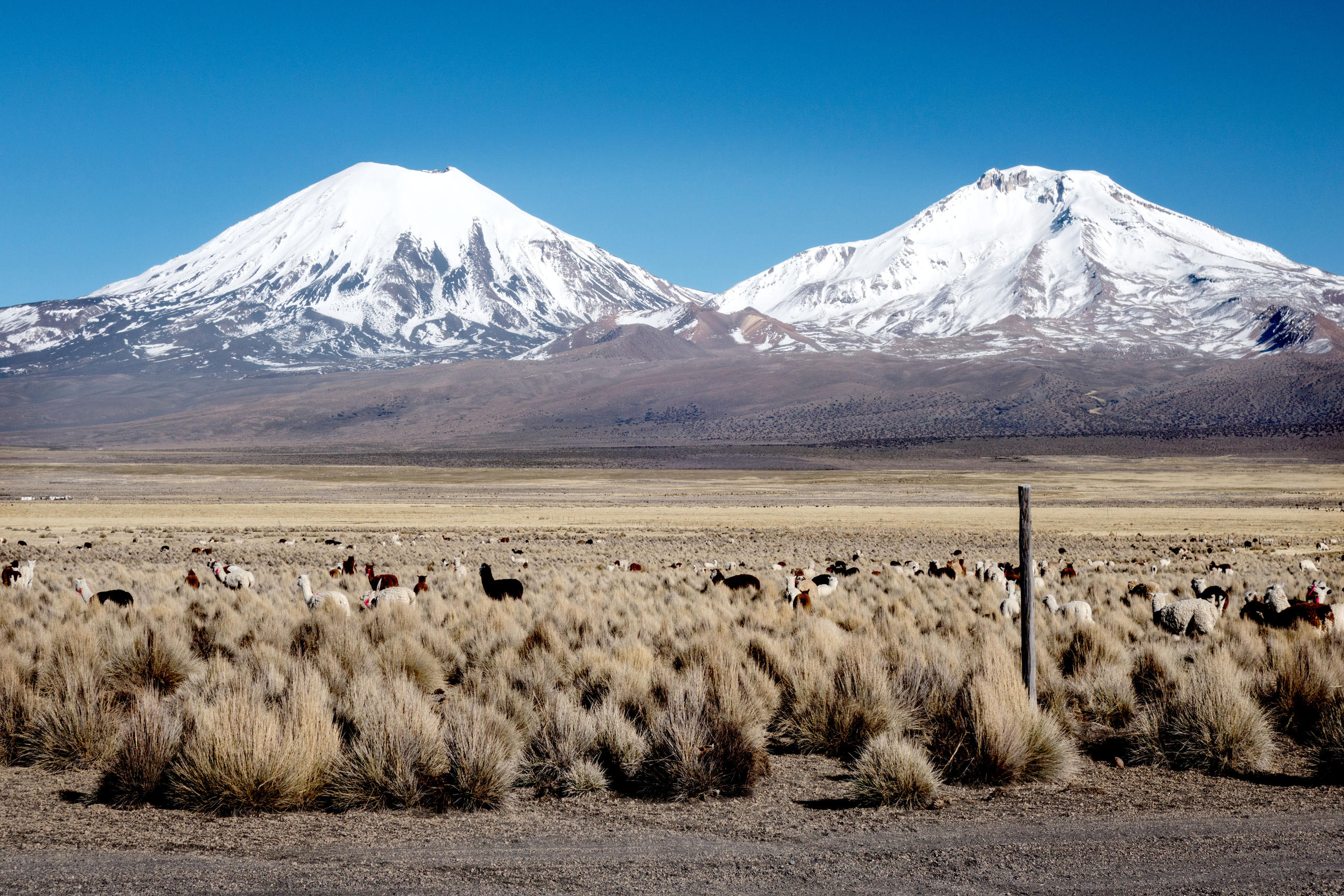 Bolivia Wetlands