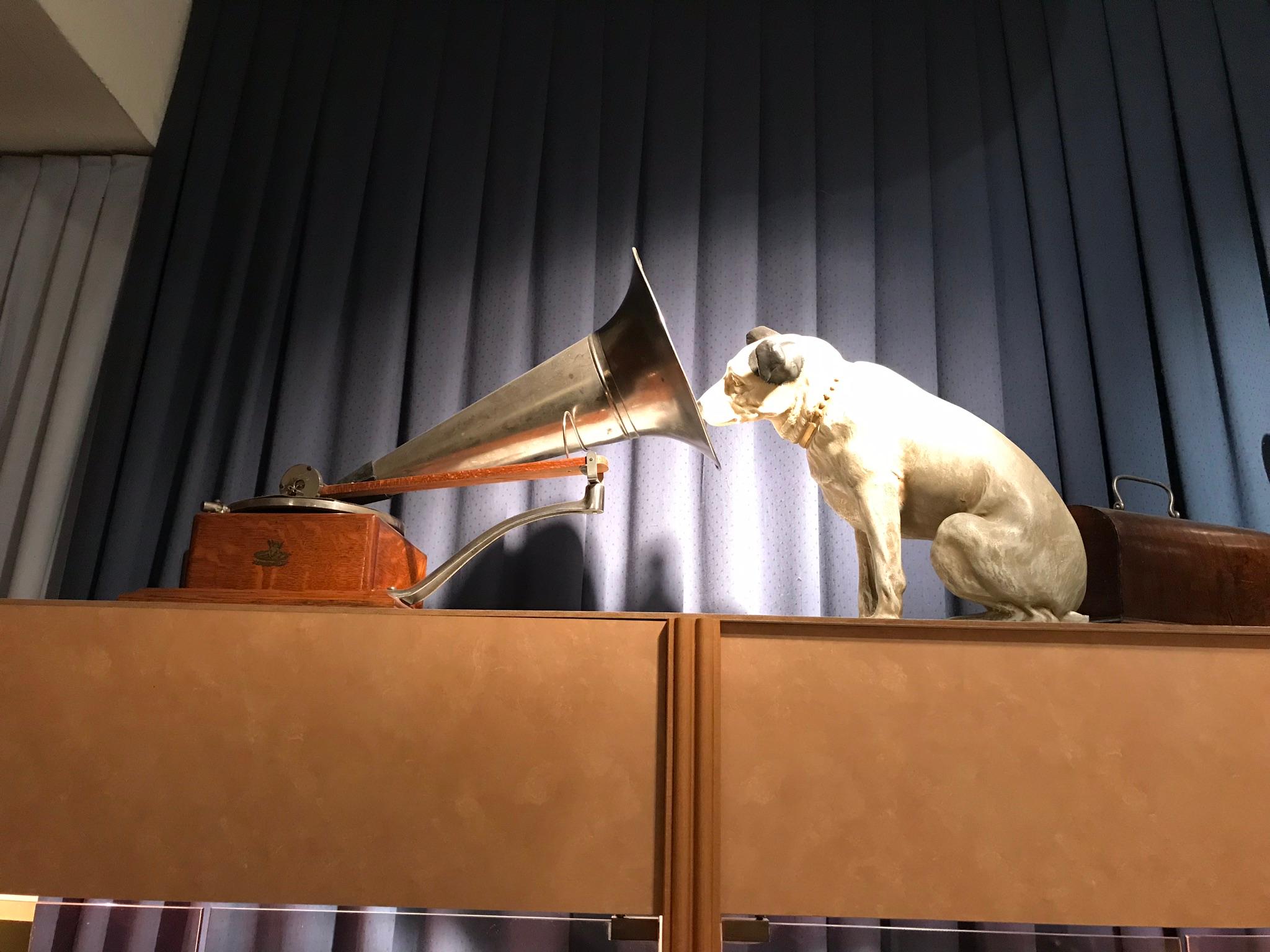 Chien devant un pavillon de gramophone.