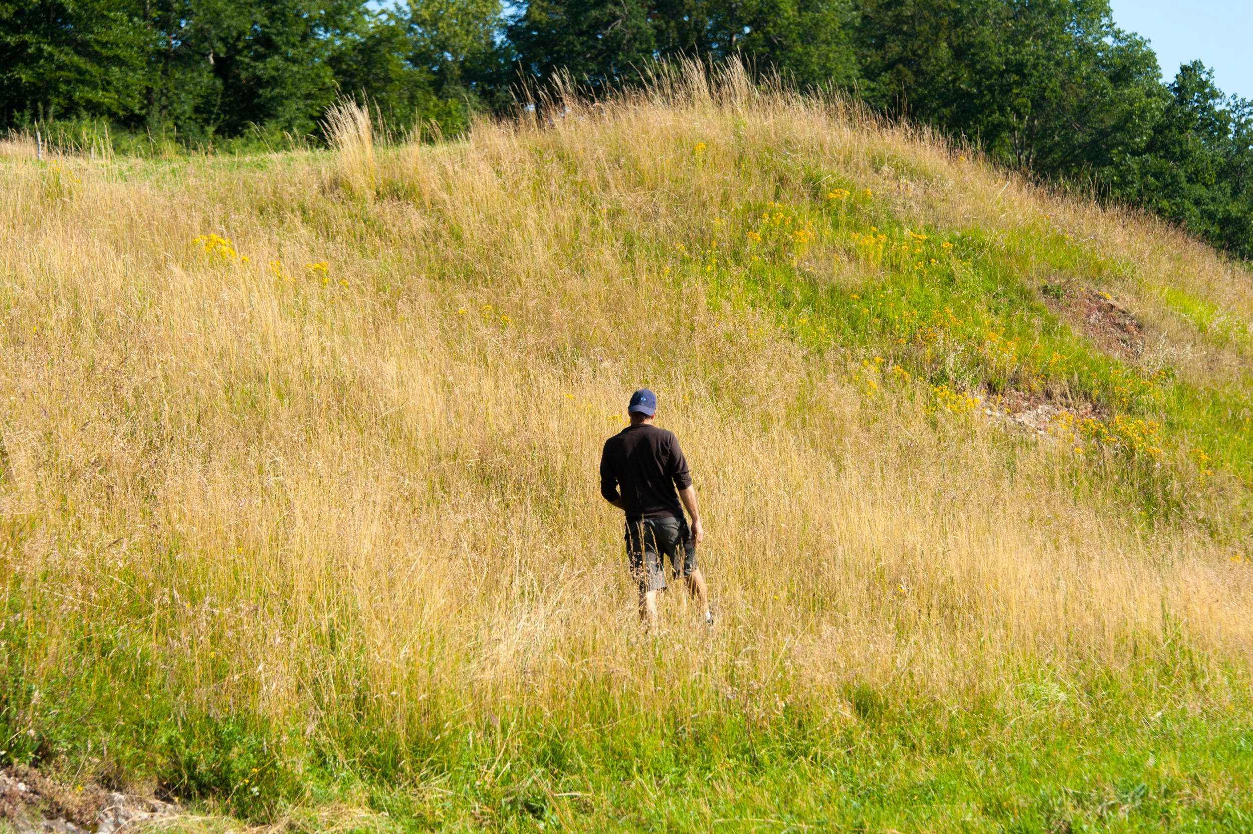 Hombre de espaldas en medio del campo