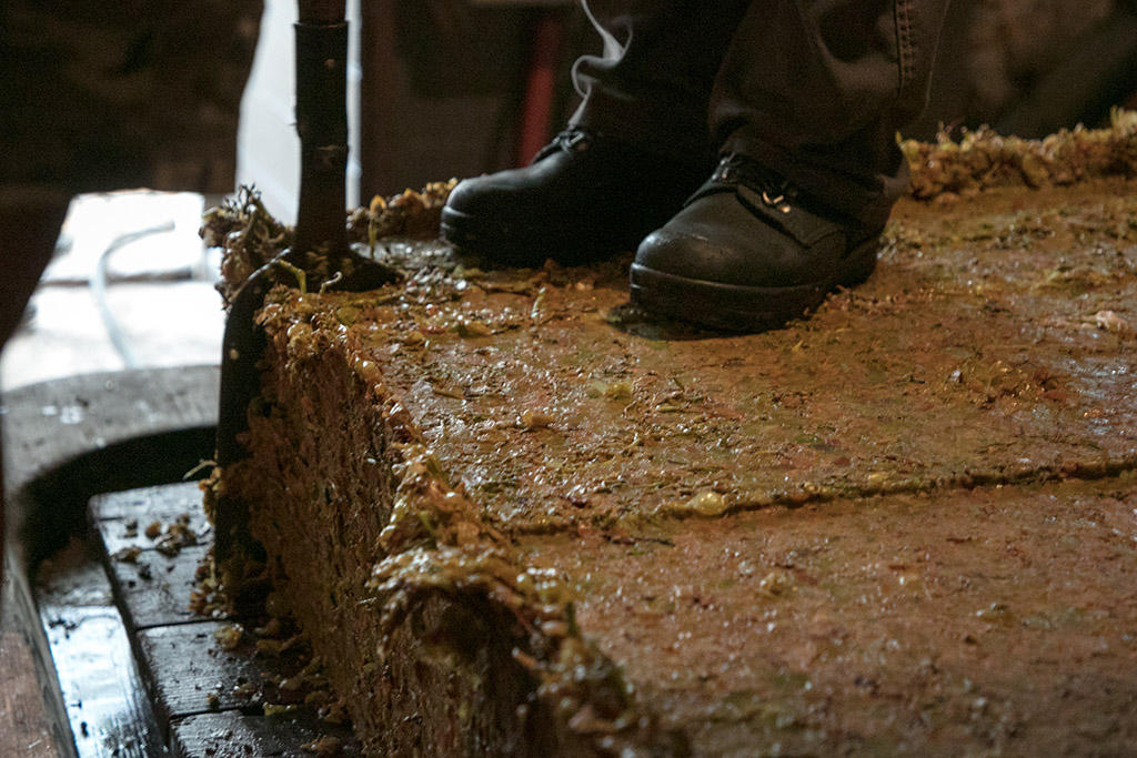 primo piano di scarpe sopra a una massa di uva pressata