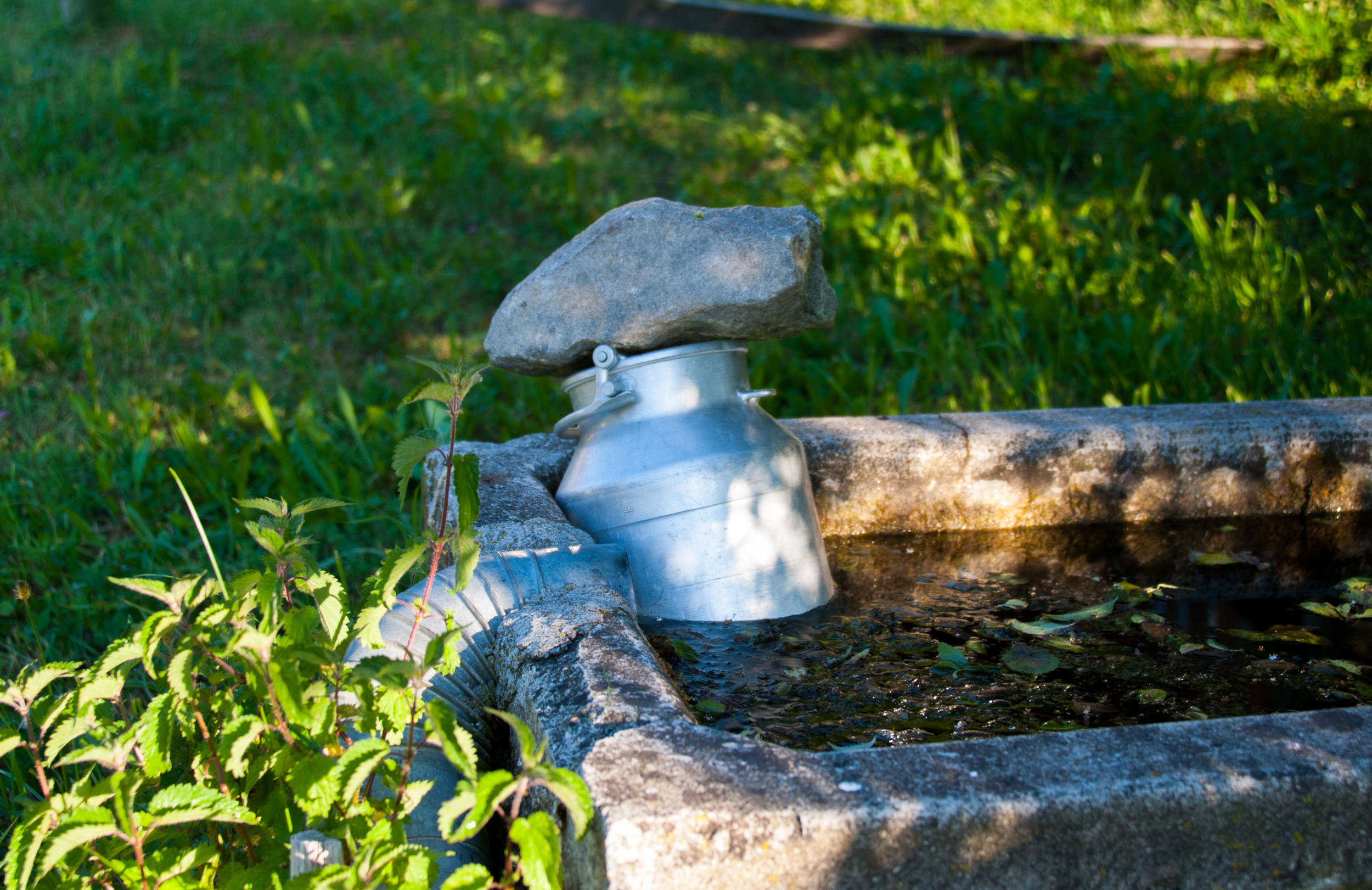 Milk churn outside in water