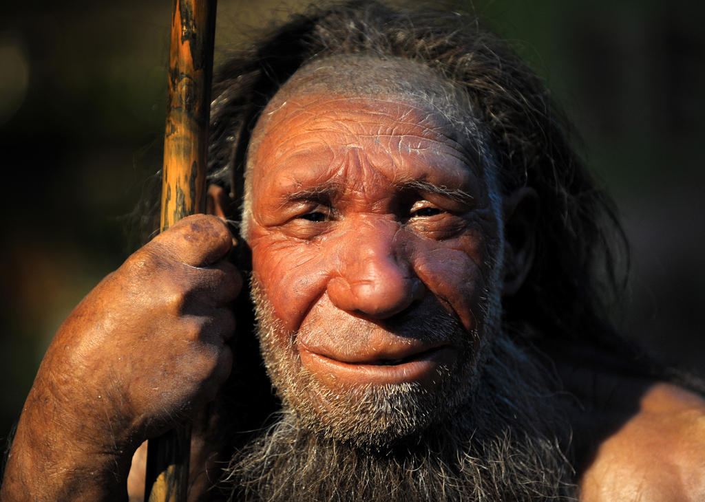 reconstruction of a Neanderthal man