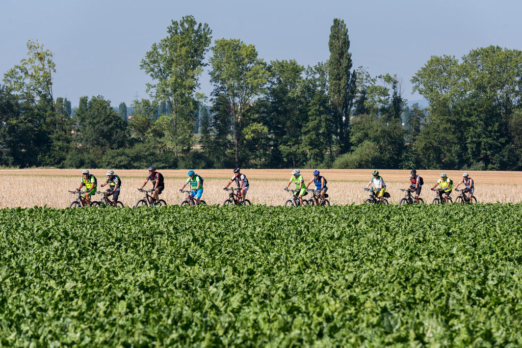 Cyclistes au milieu des champs