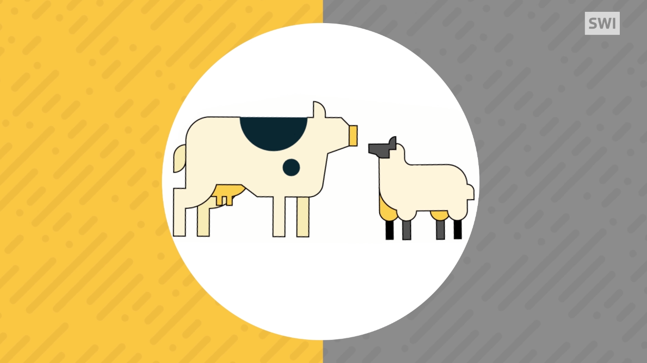 an animated cow and sheep