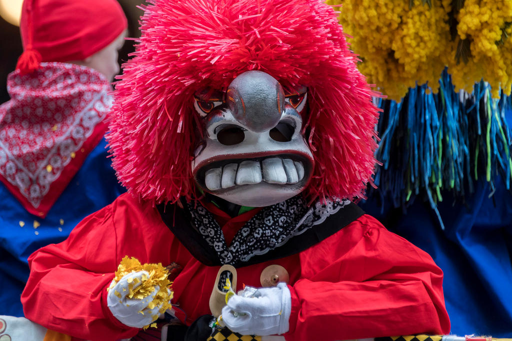 Carnival goer in fancy costume and mask