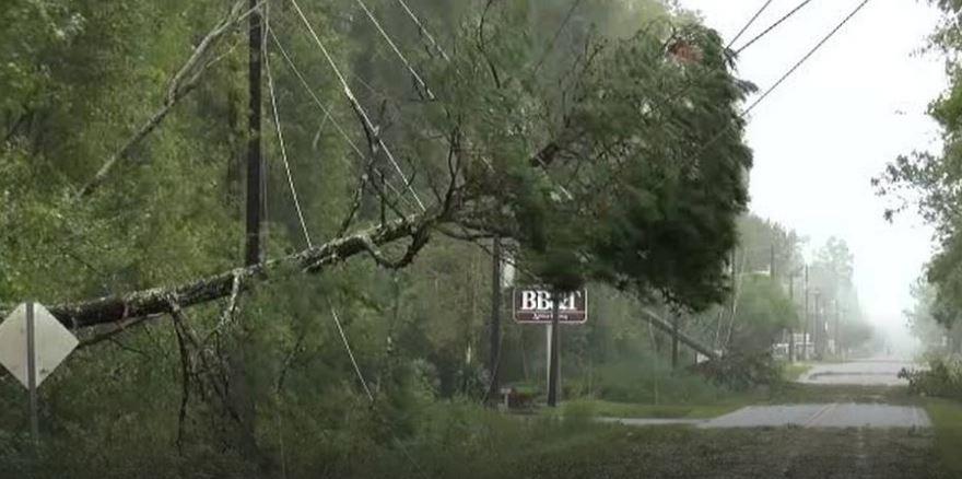 Alberi divelti i bordi delle strade iun South Caolina