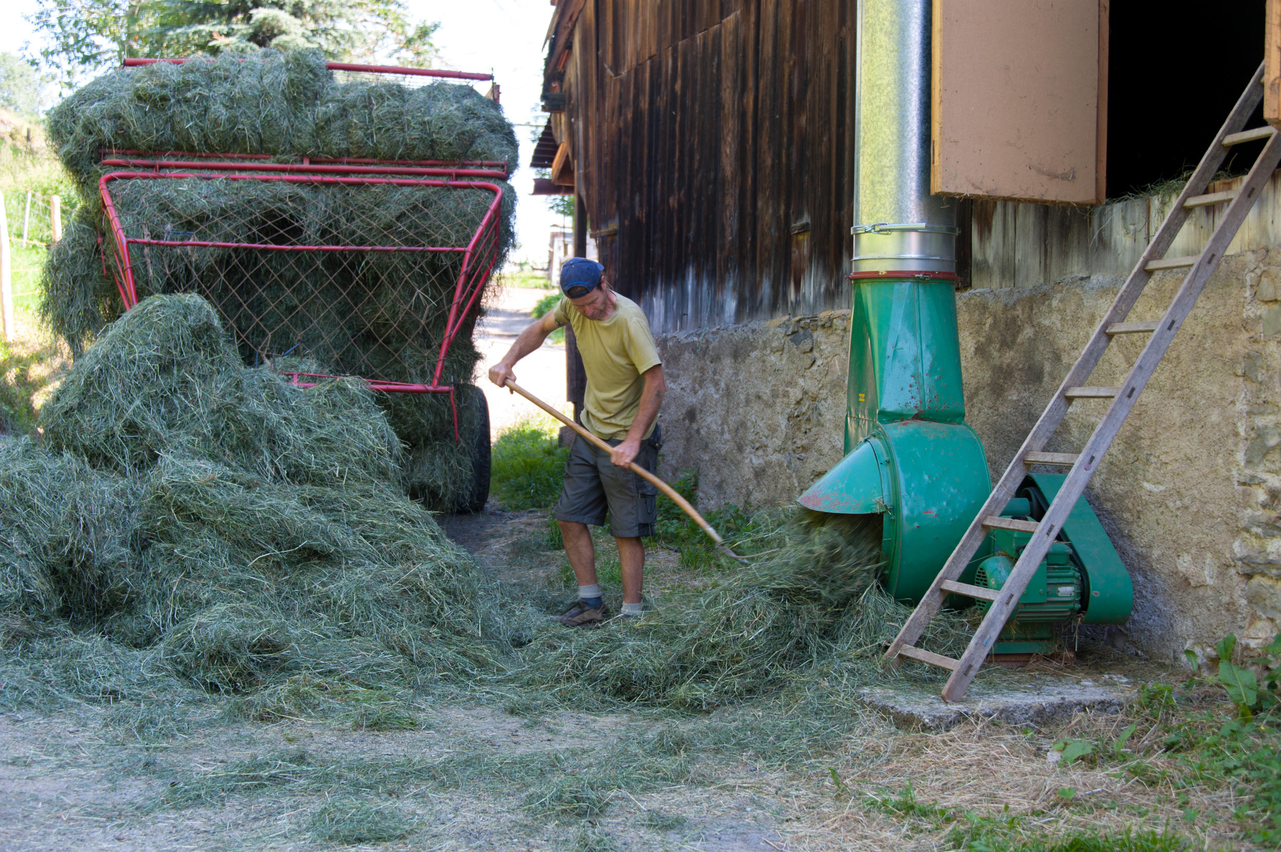 a stack of dried grass