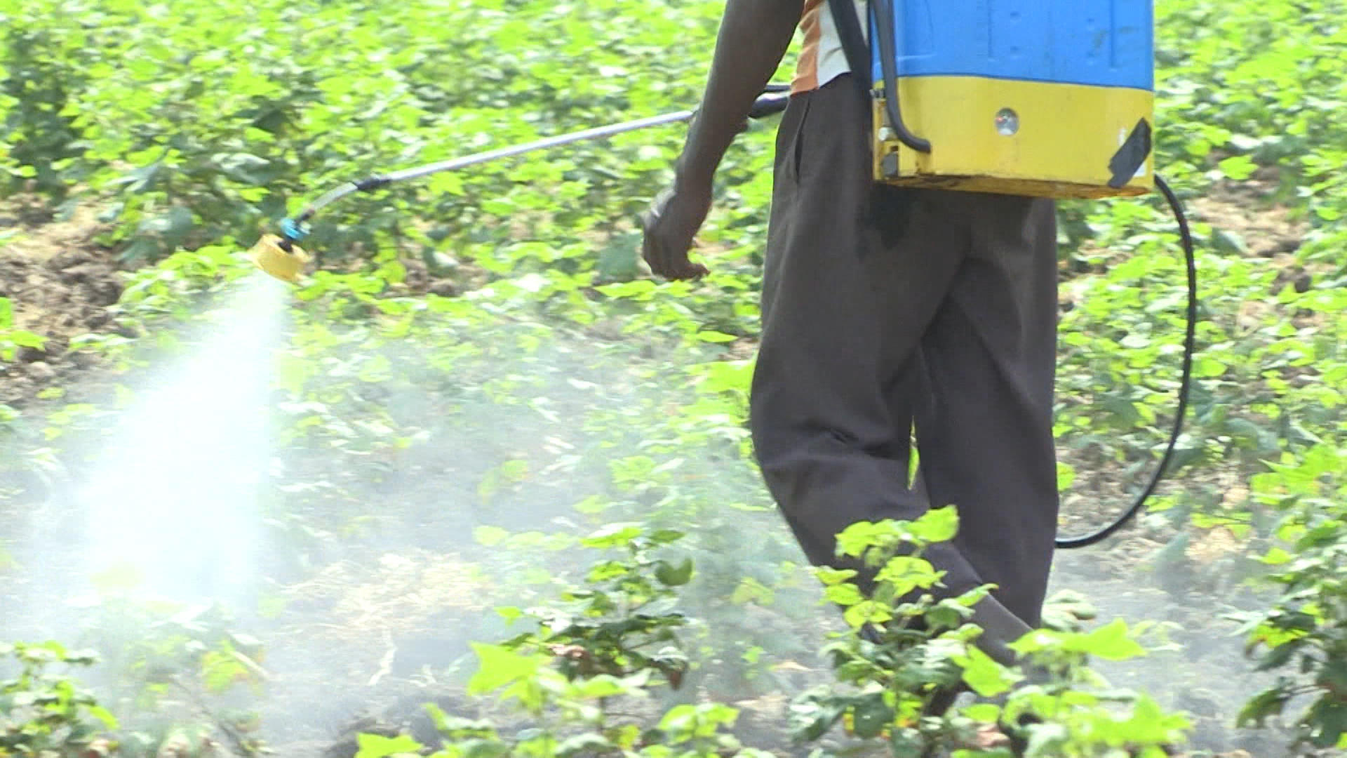 spraying chemicals on field