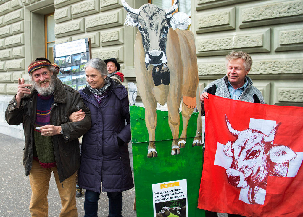 tre persone tengono in mano dei cartelloni su cui è raffigurata una mucca con le corna