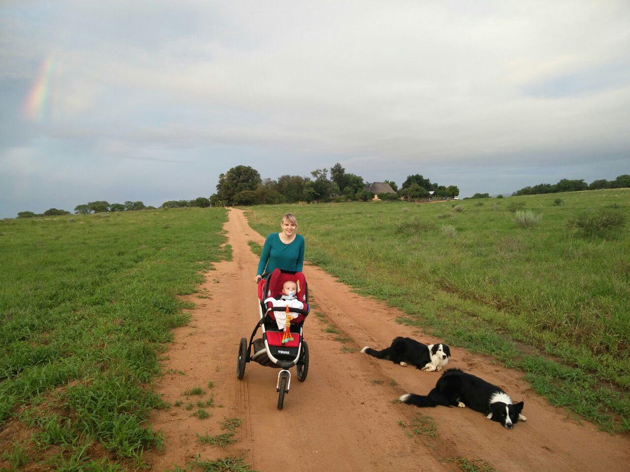 Frau mit Kinderwagen und zwei Hunden auf weitem Feld