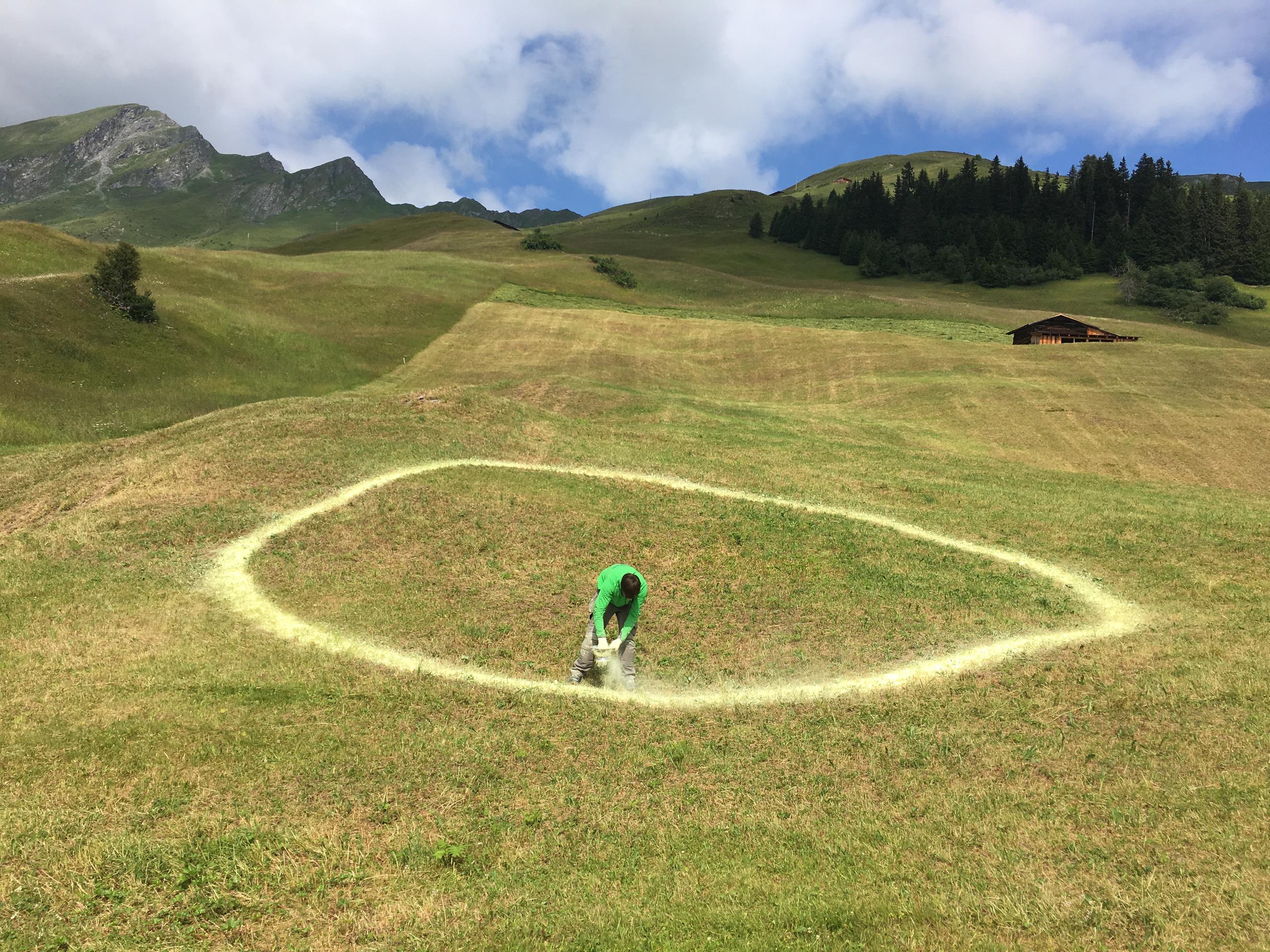 رجل يرسم دائرة بواسطة مسحوق على مساحة أزيل منها العشب