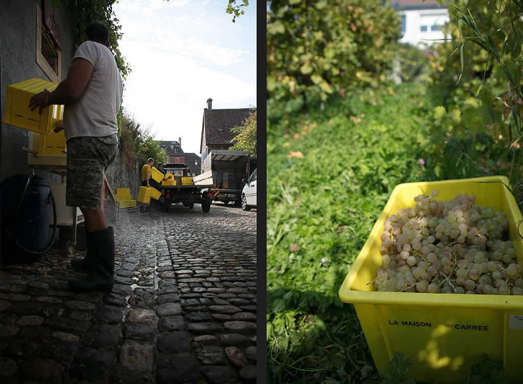 view of a street with men washing yellow crates / A vineyard