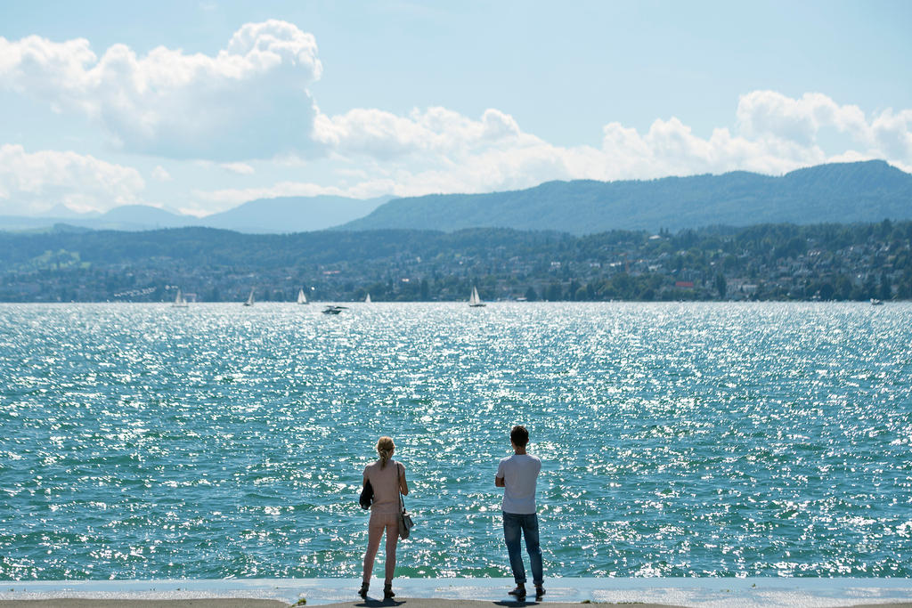 view of lake zurich