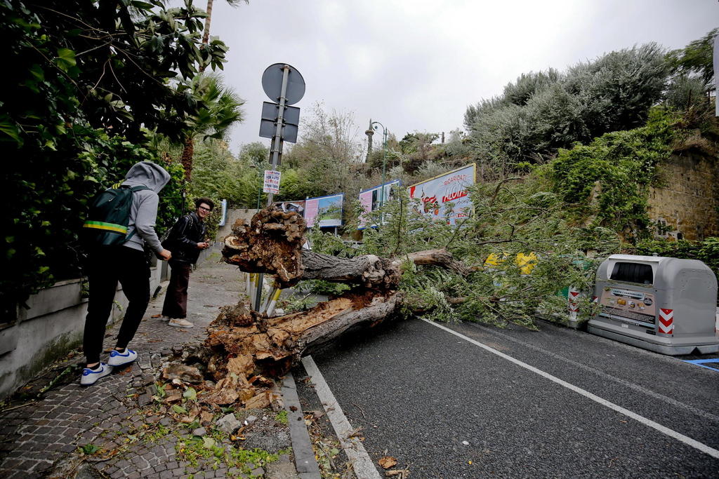 Immagine di una strada interrotta dalla caduta di un albero; in primo piano le radici divelte