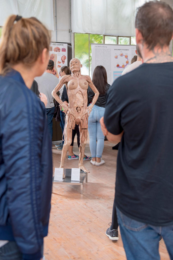 “人体展”今年10月在伯尔尼展出。